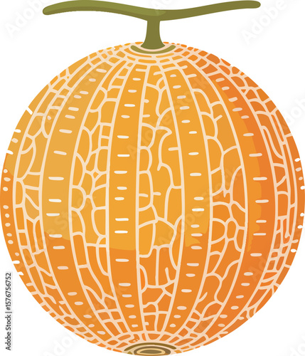 A Detailed Cantaloupe Vector Illustration with Intricate Texture and Realistic Shading on a Transparent Backdrop for Versatile Use in Design