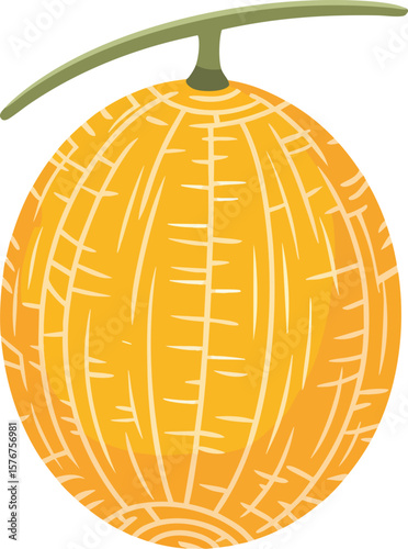 A Detailed Vector Depiction of a Honeydew Melon with a Smooth Surface, Pale Green Hue, and Subtle Markings, Set Against a Clear Backdrop for Versatile Design Applications
