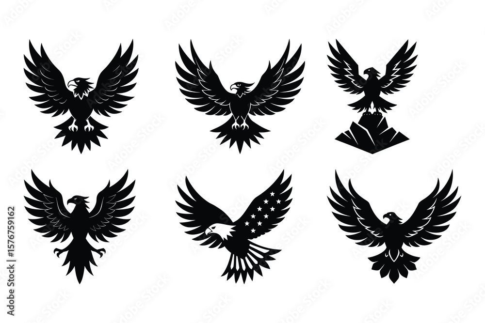 Obraz premium Black eagles spread wings silhouette