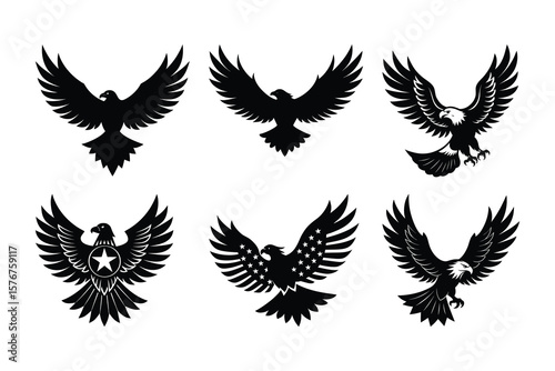 Black eagles spread wings bird birds