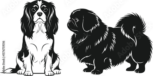 Illustration of a cavalier spaniel and a pekingese dog on white background