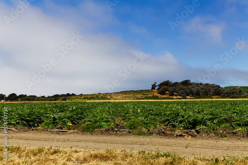 Green Agricultural Field With Hills Blue Sy and White Clouds