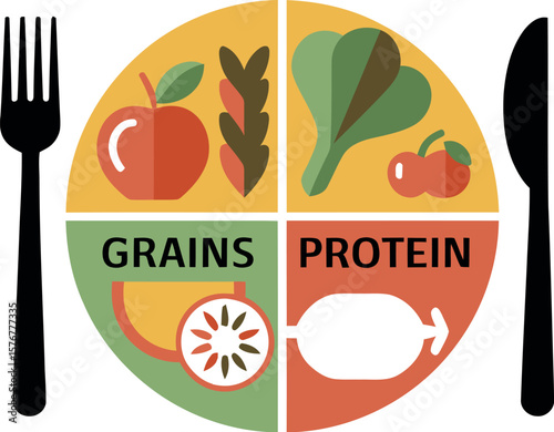 Understanding the myplate food guide for balanced diet and healthy eating habits and meal planning tips vector
