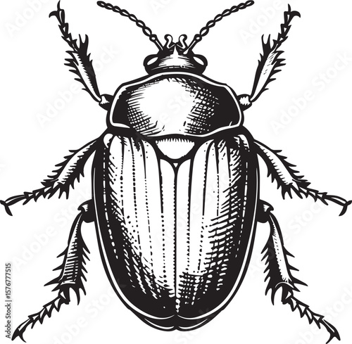 vintage line art Simple, icon black vector illustration