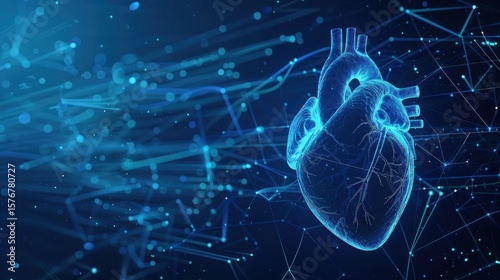 Digital Human Heart Anatomy - A Digital Representation of the Human Heart