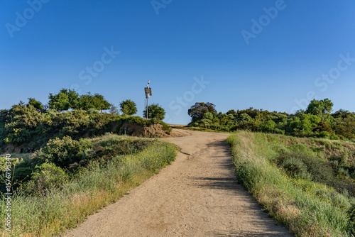 Weathering / Weathered；GRANITIC ROCKS, Late Mesozoic (Cretaceous) age; Grandiorite. top of Mount Hollywood Trail, Griffith Park, Los Angeles, California. Santa Monica Mountains / Transverse Ranges.