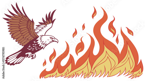 Eagle flying over flames vector illustration graphic design fire bird freedom american symbol hot burning danger 100