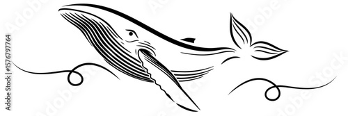 line art illustratiom background blue whale