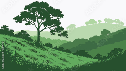 Green landscape scenery