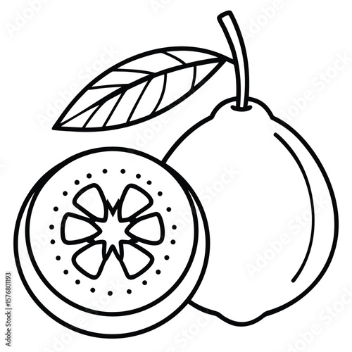 Line art illustration of a whole guava and a sliced guava with seeds fruit tropical fruit