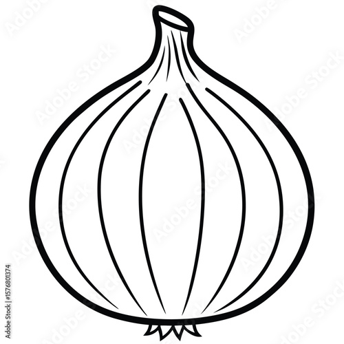 Single whole onion line drawing vegetable food