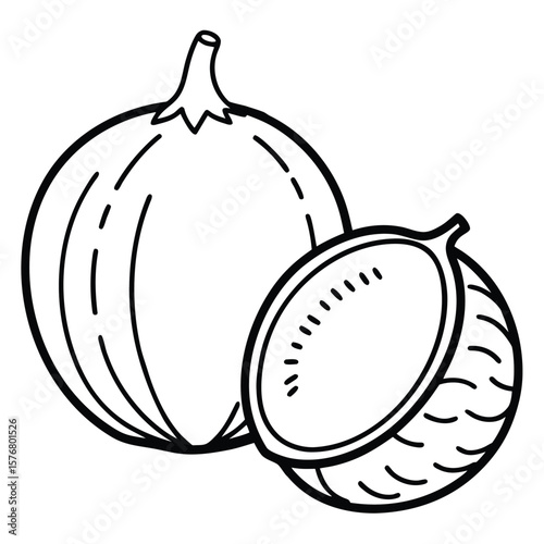 Two whole and halved nuts whole nut line drawing
