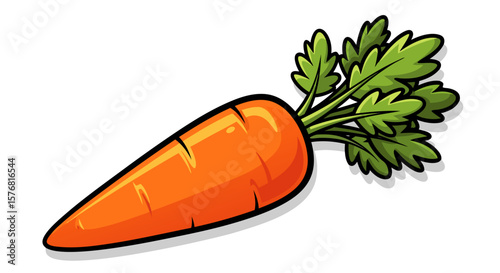 Carrot Vector – Fresh Vegetable Illustration in Color