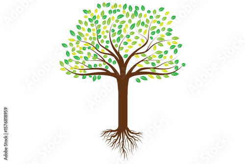 Beautiful vector tree with colorful leaves