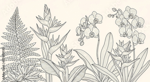 Minimalist Line Art of Tropical Flora Background