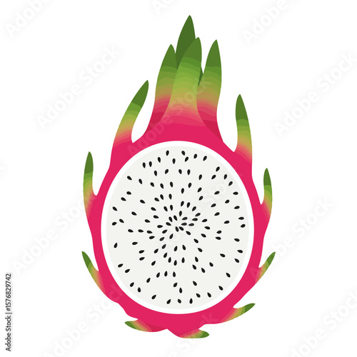 Dragon Fruit Slice: Vibrant and Exotic Illustration