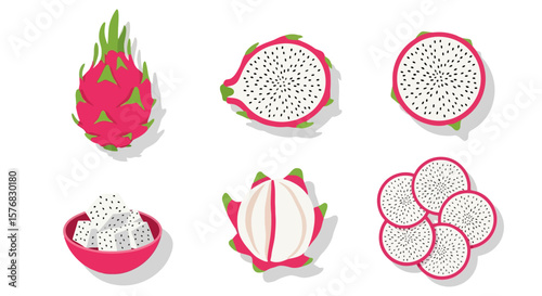 Dragon Fruit Anatomy: Vector Illustration Set