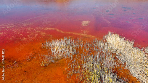 Red salt sea lake, at winter, village Alyki, Boeotia, Greece.