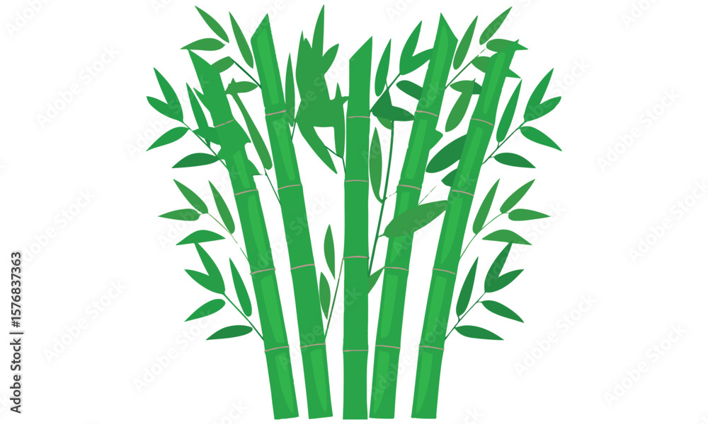 Fototapeta premium Tropical Bamboo Leaves Decoration Green