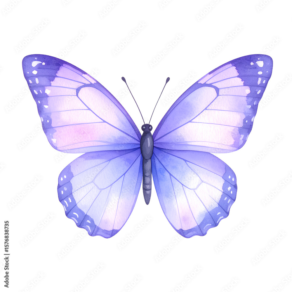Fototapeta premium Watercolor Violet Butterfly with Lilac Wings, Isolated on Transparent Background PNG