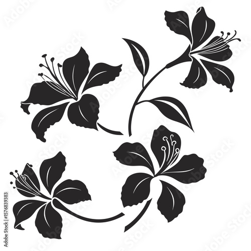 Black floral silhouettes with delicate petals and stamens white