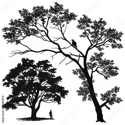 Black silhouettes of trees with dense foliage and a perched bird branches