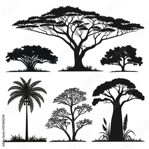 Diverse jungle trees silhouettes on white background nature baobab