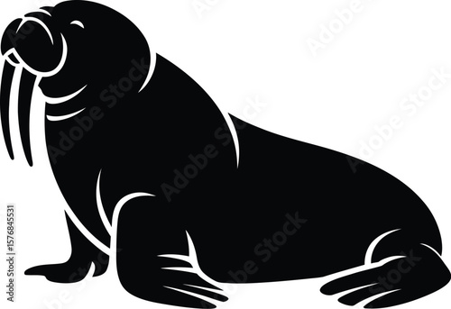 Black walrus with tusks and flippers white animal
