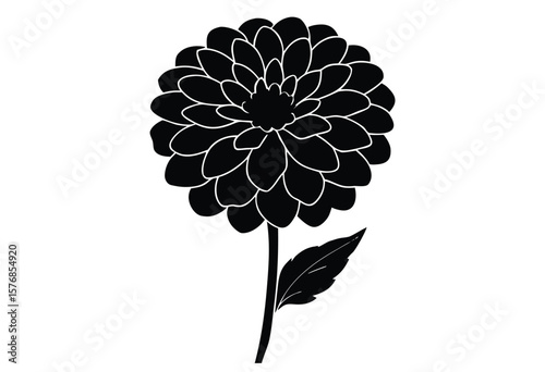 Petaled Zinnia Silhouette Vector Flat Design Illustration for Botanical Art