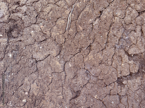 textura pared de barro con grietas 