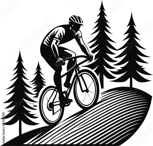 Silhouette of a mountain biker riding downhill through pine trees on a trail