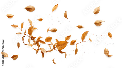 Leaves falling PNG, autumn leaves background, Leaves falling isolated on white or transparent