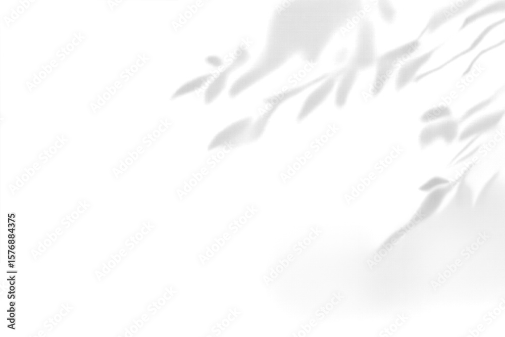 Shadowy leaf silhouettes on a soft grey background abstract black