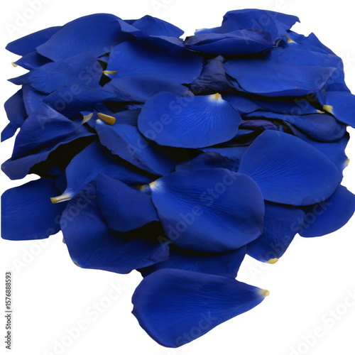 a bunch of blue petals on a white background