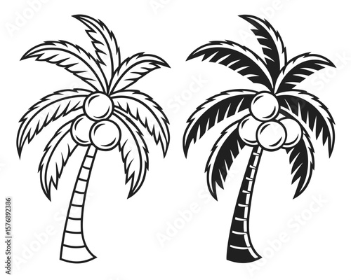 Two elegant black and white illustrations depicting stylized coconut palm trees on white background.