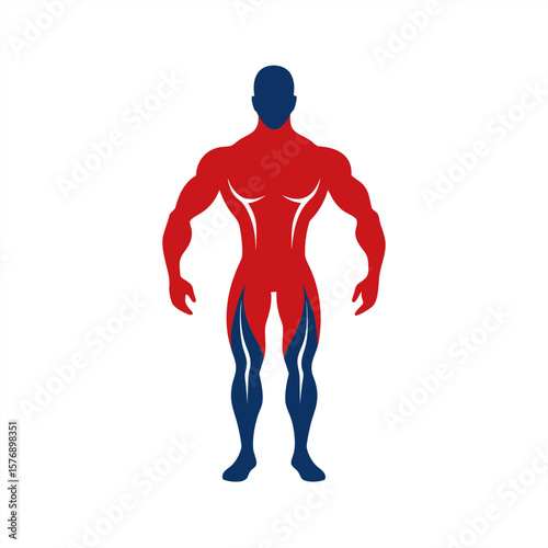 Human Muscle on transparent background for web and graphic design