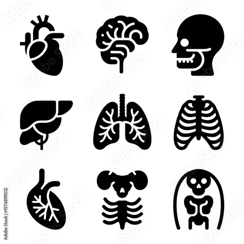 Set of human organ and skeletal system icons for medical and health concepts