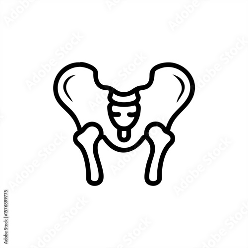 Pelvis Bone on transparent background for web and graphic design