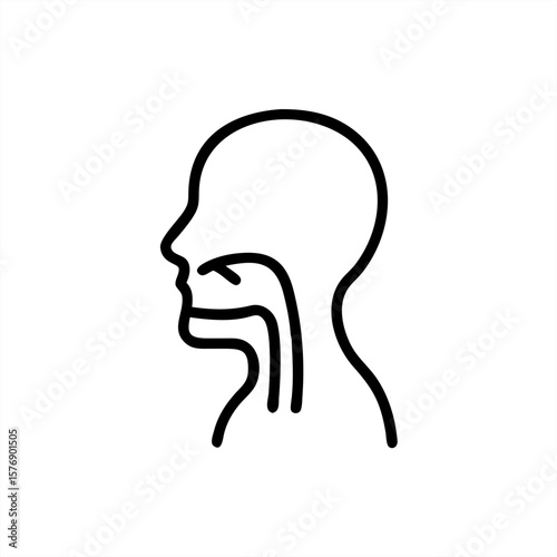 Human Esophagus Silhouette on transparent background for web and graphic design