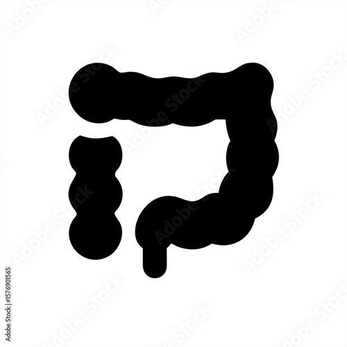 Human Intestines Colon Silhouette on transparent background for web and graphic design