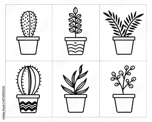 Potted plants in different styles suitable for decoration and design projects. Various house plants in decorative flowerpots.