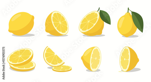 Lemon Collection: Fresh Citrus Fruit Vector Set
