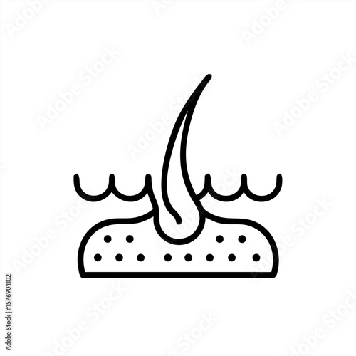 Human Skin With Hair Follicle Silhouette on transparent background for web and graphic design