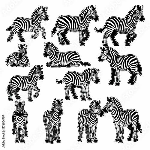 Zebras in various poses, black and white animal collection