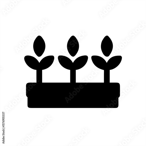 Seedlings In Garden Tray Silhouette on transparent background for web and graphic design