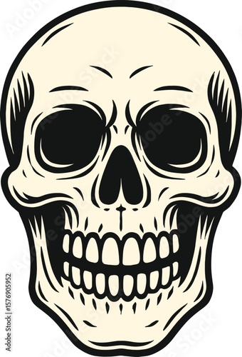 Smiling Human Skull Illustration