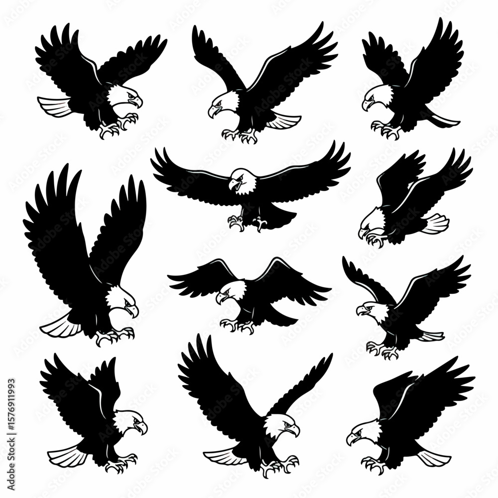 Obraz premium Eagle silhouettes in flight, various poses, black and white