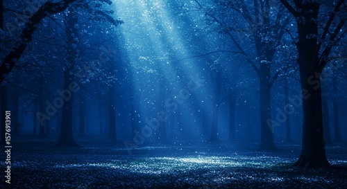 Fototapeta Naklejka Na Ścianę i Meble -  Mystical forest illuminated at night