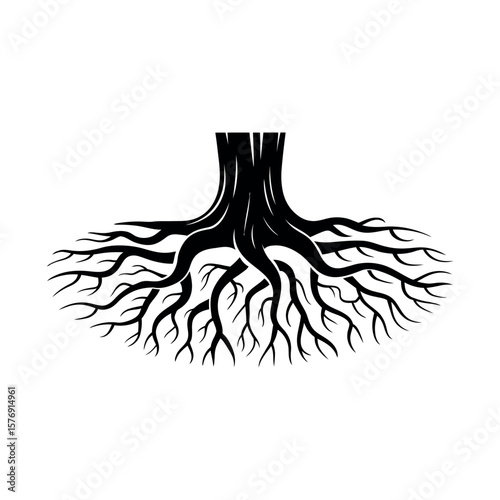 Black tree roots spreading outwards white organic