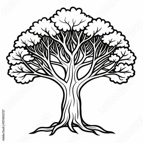 Banyan tree with roots outline vector